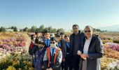 بازدید دانشآموزان مدرسه آلیاسین شهرستان محلات از نمایشگاه گلهای داودی پژوهشکده گل و گیاهان زینتی