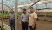 بازدید دکتر حسینی‌نیا و دکتر عربی، محققان معین پژوهشکده گل و گیاهان زینتی، از گلخانه آقای صادق داوری و بررسی راهکارهای کنترل آفات و بیماری‌ها