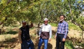 بازدید کارشناسی محققان پژوهشکده گل و گیاهان زینتی از باغات روستای خان‌آباد و نمونه‌برداری از کنه‌های شکارگر در قالب پروژه پژوهشی