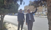 بازدید دکتر حسین بیات از درختان فضای سبز دلیجان