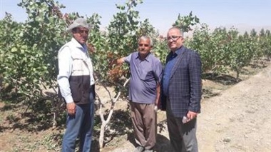 بازدید محققان پژوهشکده گل و گیاهان زینتی از بزرگ‌ترین واحد تولید تجاری گیاه آناناس در استان گرگان