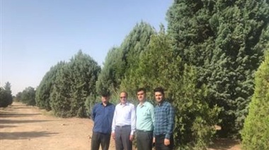 بازدید محققان معین پژوهشکده گل و گیاهان زینتی از پارک جنگلی حاشیه سد ۱۵ خرداد شهرستان دلیجان