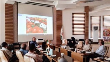 گزارش بازدید دکتر محمدرضا شفیعی از نمایشگاه‌های تخصصی گل و گیاهان زینتی در هلند و آلمان