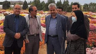 حضور رئیس سازمان جهاد کشاورزی استان مرکزی در بیست‌و‌یکمین نمایشگاه گل‌های داودی پژوهشکده گل و گیاهان زینتی