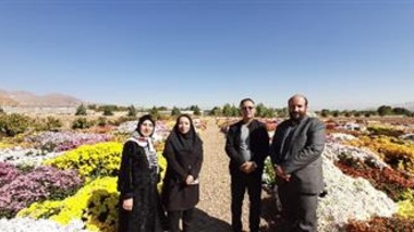 بازدید معاون پژوهشی و اساتید گروه باغبانی دانشگاه آزاد رفسنجان از نمایشگاه گل‌های داودی و مذاکره برای همکاری‌های علمی و آموزشی