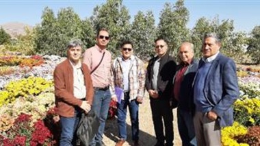 بازدید تیم پژوهشگاه علوم و فنون هسته‌ای از نمایشگاه گل‌های داودی پژوهشکده گل و گیاهان زینتی و مذاکره برای همکاری‌های دوجانبه
