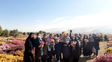 بازدید دانش‌آموزان دبیرستان دخترانه شاهد شهرستان محلات از نمایشگاه گل‌های داودی پژوهشکده گل و گیاهان زینتی