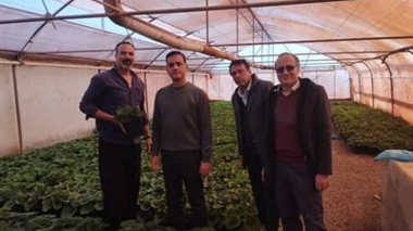 بازدید موردی محققین معین پژوهشکده گل و گیاهان زینتی از گلخانه‌های شهرستان محلات و ارائه راهکارهای مدیریتی