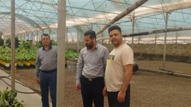 بازدید دکتر حسینی‌نیا و دکتر عربی، محققان معین پژوهشکده گل و گیاهان زینتی، از گلخانه آقای صادق داوری و بررسی راهکارهای کنترل آفات و بیماری‌ها