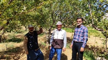 بازدید کارشناسی محققان پژوهشکده گل و گیاهان زینتی از باغات روستای خان‌آباد و نمونه‌برداری از کنه‌های شکارگر در قالب پروژه پژوهشی