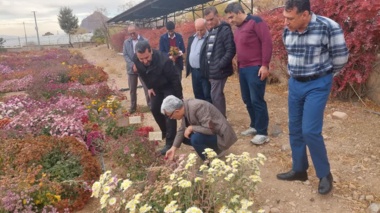برنامه‌ریزی برای ثبت ارقام جدید داوودی و رز پرتوتابی شده در پژوهشکده گل و گیاهان زینتی