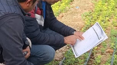 بازدید از گلخانه گل داوودی شهرستان بیضا استان فارس