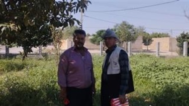 بازدید از باغات مزور و ارائه توصیه‌های لازم برای کنترل کنه تارتن توسط محقق پژوهشکده گل و گیاهان زینتی