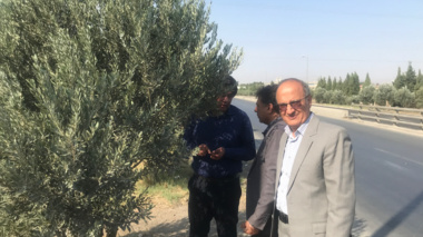 بازدید علمی اعضای هیئت علمی پژوهشکده گل و گیاهان زینتی از فضای سبز شهرک صنعتی کاوه