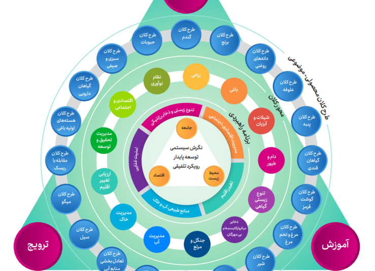 سیر تاریخی برنامه ریزی راهبردی در سازمان