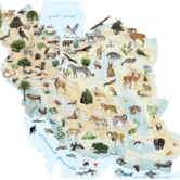 زیر برنامه راهبردی تنوع زیستی و منابع ژنتیکی