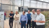 خبر هم افزایی با پارک علم و فناوری قزوین بازدید رئیس پارک علم و فناوری استان از گلخانه مدرن هوشمند