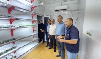 توسعه فناوری‌های نوین گیاه‌پزشکی؛ کلید امنیت کشاورزی در بازدید از مرکز تحقیقات و آموزش کشاورزی و منابع طبیعی استان قزوین