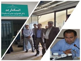 آشنایی مدیر کل دیوان محاسبات استان با یکی از واحد‌های فناور مرکز رشد کشاورزی قزوین