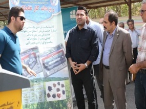 حضور دانش بنیان ها و واحدهای  فناور در نمایشگاه جانبی رویداد استانی تولید دانه روغنی کلزا