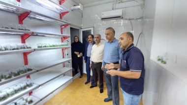 توسعه فناوری‌های نوین گیاه‌پزشکی؛ کلید امنیت کشاورزی در بازدید از مرکز تحقیقات و آموزش کشاورزی و منابع طبیعی استان قزوین