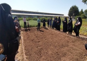 برگزاری دوره های آموزشی تئوری و عملی در خصوص کشت و کار گیاهان دارویی و سبزی