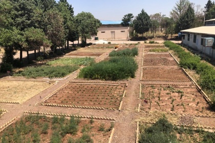 سایت الگویی یاددهی و یادگیری گیاهان دارویی