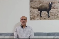 مزایای پرورش نژاد گوسفند شال