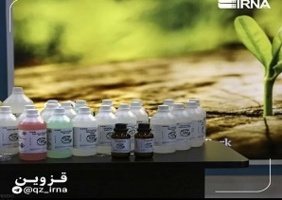 قزوین کانون جهش گندم‌های ضدخشکسالی ایران