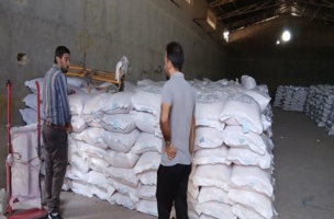 بازدید نظارتی از مزارع شرکتهای تولید کننده بذر گندم دیم استان قزوین