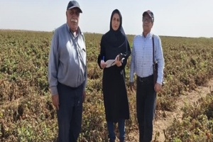 محققین مرکز ؛ مصمم در پایش نیترات محصولات کشاورزی استان قزوین