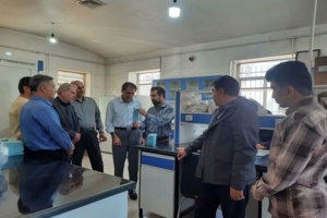 بازدید کارشناسی از بذور مادری تولیدی در استان قزوین؛ کشت پایدار در گرو بذر سالم