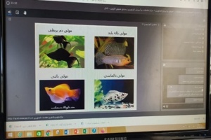 دوره آموزشی تکثیر و پرورش ماهیان زینتی