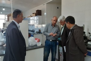 استمرار بازدید از روند نظارت بر کیفیت بذر غلات پاییزه؛ تضمین بذر سالم برای کشت پایدار