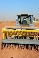 اجرای چهار طرح  تحقیقاتی با رویکرد ارتقاء بهره وری ارکان تولید در ایستگاه تحقیقات اسماعیل آباد