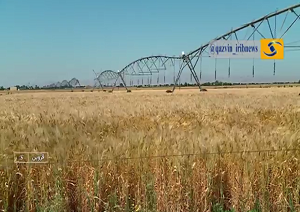 صرفه‌جویی آب با سامانه پایش هوشمند در مزارع