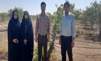 بازدید از پروژه سرشاخه کاری و دستاوردهای ایستگاه تحقیقات پسته یزبر