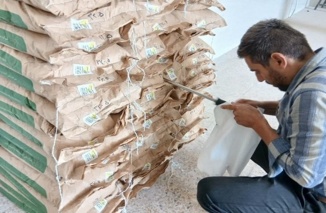 نمونه‌برداری از ارقام بذر کلزا جهت تست مجدد قوه نامیه