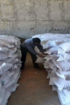 نمونه‌برداری از پارتهای بذری شرکت تعاونی روستایی