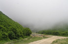 گروه‌های تحقیقاتی