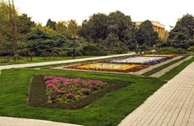 پروژه‌های تحقیقاتی