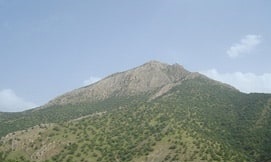 اهداف و وظایف