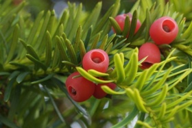 اهداف و وظایف