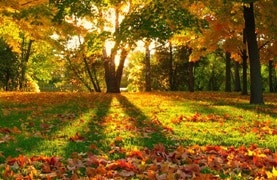 پروژه‌های تحقیقاتی حفاظت و حمایت