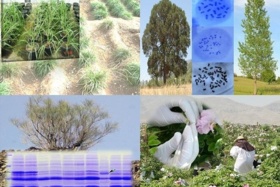 دستاوردها زیست و فناوری