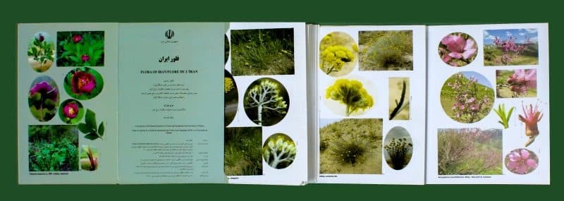 انتشارات بخش گیاه‌شناسی