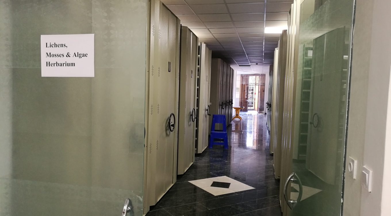 هرباریوم بی‌گل 