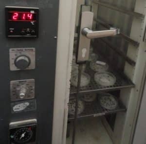 بذرها برای سبز شدن در درجه حرارت مناسب در ژرمیناتور قرار داده می شوند