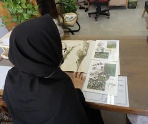 شناسایی گونه از طریق نمونه هر باریومی تهیه شده در محل جمع آوری