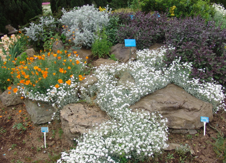 قطعه نمایشی